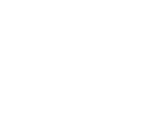 Bolsas Chick